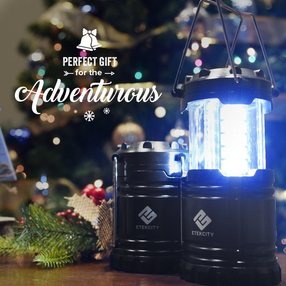 imageEtekcity Camping Lanterns for Power Outages 4 Pack Flashlight for Camping Essentials Survival Kit and Gear Hurricane Preparedness Items Emergency Led Battery Operated Lights Black2 Pack