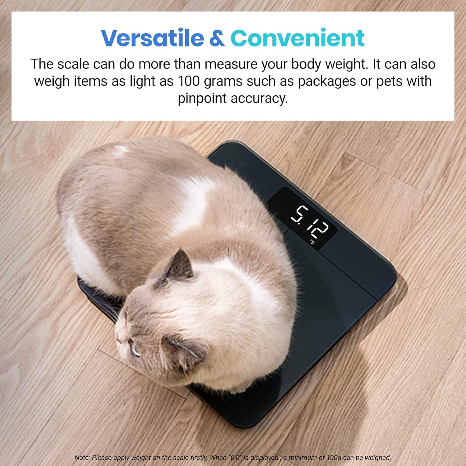 imageEtekcity Scale for Body Weight Digital Bathroom Scales for People Most Accurate to 005lb Bright LED Display amp Large Clear Numbers Upgraded Quality for the Elderly Safe Home Use 400 lbsGreyblue